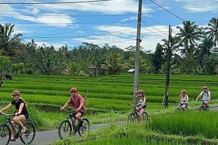 Bali Downhill Cycling Kintamani to Ubud with Private Transfer