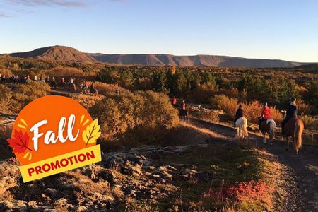 Icelandic Horseback Riding Tour with Pickup Option from Reykjavik
