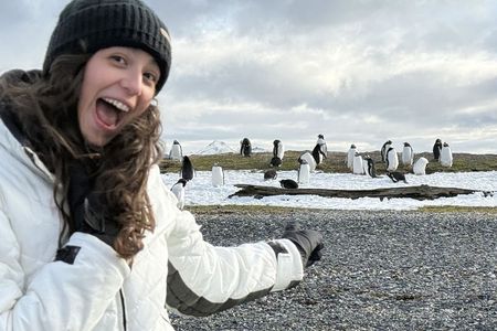 Penguin and Centolla Tour in 4x4