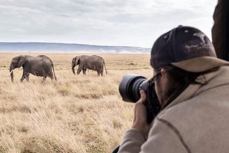 7 Day Tanzania Migration Safari