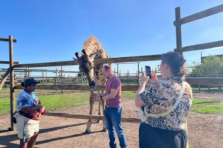 Wine and Big Cat Sanctuary Tour
