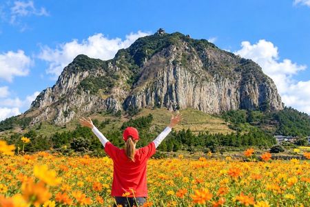 Jeju South-West Essentials: Hallasan & Signature Highlights