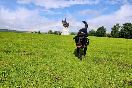 Bannockburn Battlefield Tour