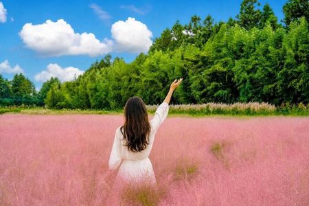 3 Day Bus Tour in Jeju UNESCO East, South and West Highlights