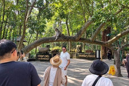 All Inclusive Ubud Tour with Rice Terrace, Waterfall and Temple