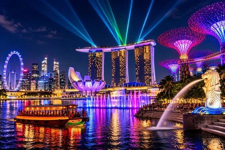 Private Singapore Night Tour with Driver & Light Shows