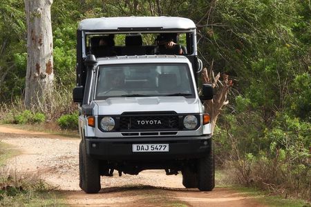 Experience Yala Safari in a Luxury Land Cruiser