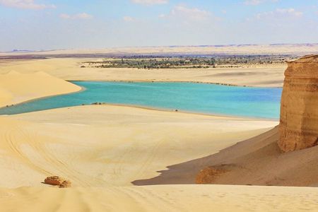 Valley of Whales and Wadi El Rayan Water Falls Day Tour from Cairo