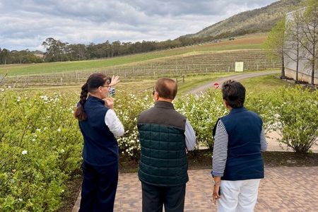 Premium Hunter Valley Private Wine Tour from Sydney