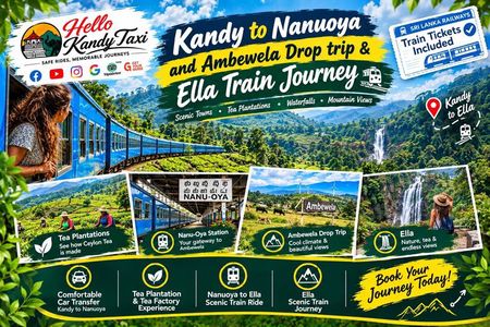 Kandy to Nanuoya, Ambewela Drop trip with Train Tickets