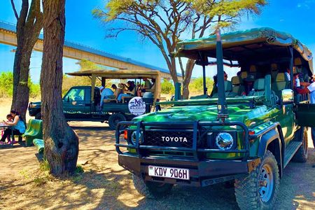 Safari Tour; Nairobi National Park