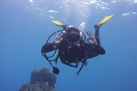 Panama City Scuba Diving Activity for Beginners