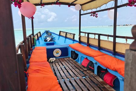 Private Half day Mnemba Island with Speedboat