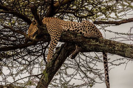 3 Days Tanzania Safari Private Tour