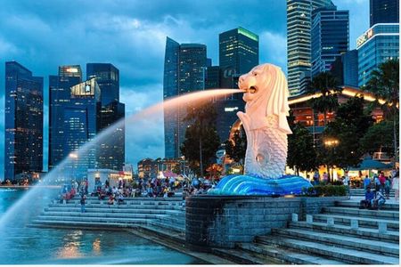 Singapore Private Car Tour with Licensed Guide: Day or Night