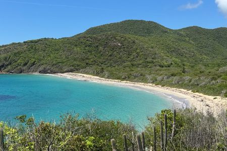 The Only 4x4 Adventure to Rendezvous Bay - Wilson Castaway Tour