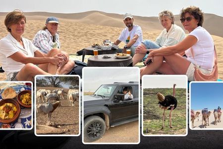 Private 4x4 Jeep Safari from Agadir Souss Massa National Park
