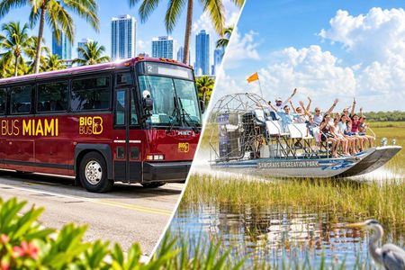 Miami Everglades Experience Airboat Ride, Wildlife Show