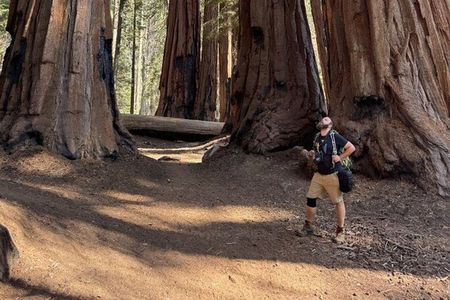 Heart of the Giant Forest Hike