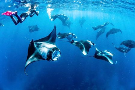 Bali: Nusa Penida Private Boat Snorkeling & Land Tour