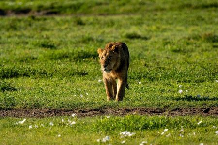 2 Days Tarangire and Ngorongoro Mid Range Group Safari