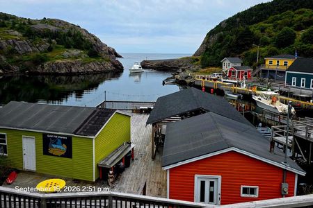 St. John's City and Coastal Journey Private SUV Tour 6 Hours