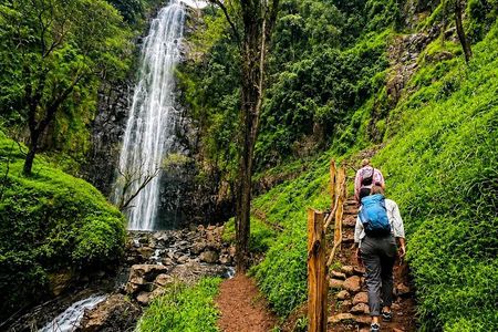Arusha to Materuni Waterfalls and Coffee Culture Experience