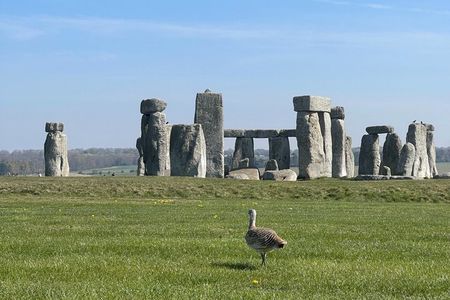 Bath and Stonehenge From London - Private Luxury Day Tour