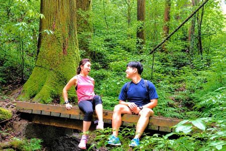 Live Like a Local: Mt. Takao Hike, Shrine Tour, Onsen & Feast