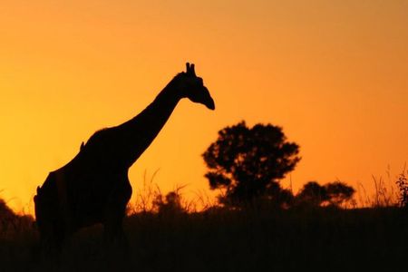 2-Day Akagera Wildlife Safari & Sunset Boat Cruise