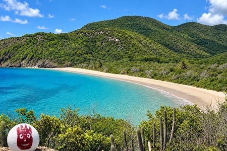 The Only 4x4 Adventure to Rendezvous Bay - Wilson Castaway Tour