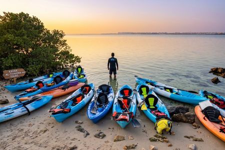 Al Thakira Mangrove Kayaking Tour – Purple Island, Qatar