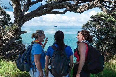 Waiheke Island Private Double Headland Walk