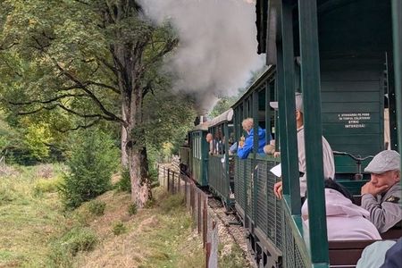 Bucovina Experience: Steam Train, Egg Museum, Monastery
