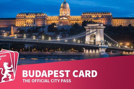 Budapest Card: Free Public Transport, Spa & Museums with Delivery