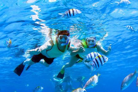 3 Zipline Adventure and 3.5 hour Afternoon Snorkel Cruise