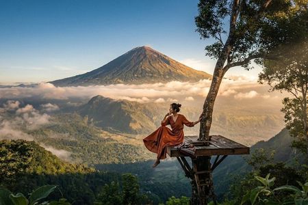 Bali Cruise Shore Excursion: Private Custom Tour