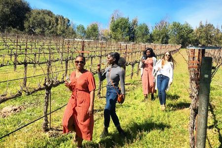 Small-Group Wine Tour in Santa Barbara to Exclusive Vineyards