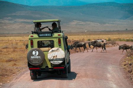 Ngorongoro Crater Day Trip