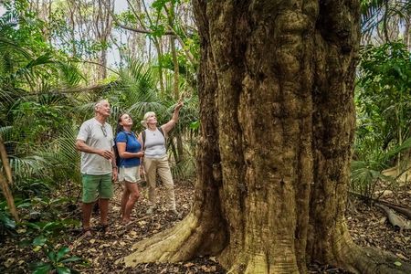 Waiheke Island Bush & Beach Walk