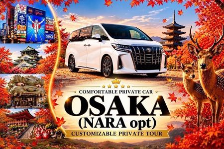 Osaka Customizable Private Tour - Nara opt (Local English Guide)