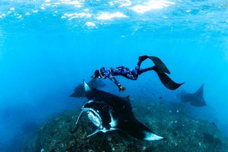 Snorkel, Swim with Mantas and Explore West Nusa Penida