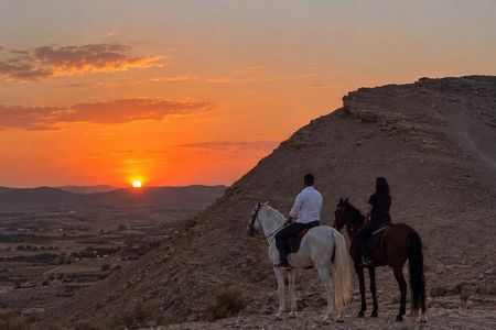 Marrakech Private Horse Riding in Agafay Desert and Dinner Show
