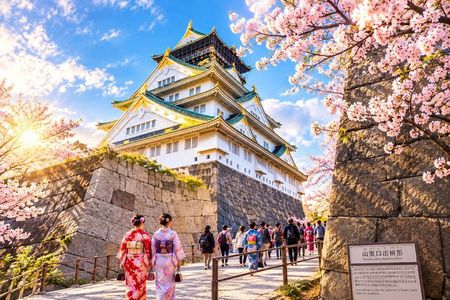 Guided Tour of Some Attractions in Osaka by Private Car