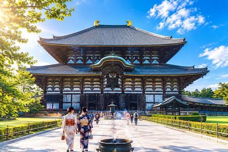 Nara Day Trip from Osaka with Deer Temple and Old Town Walk