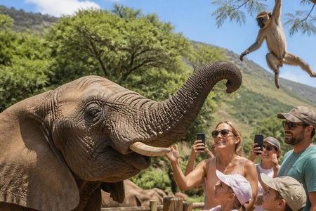 Elephant & Monkey Sanctuary Tour from Johannesburg