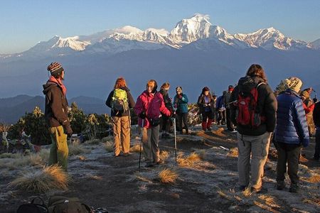 Majestic Views & Mountain Trails: Pokhara 5-Day Poon Hill Treks