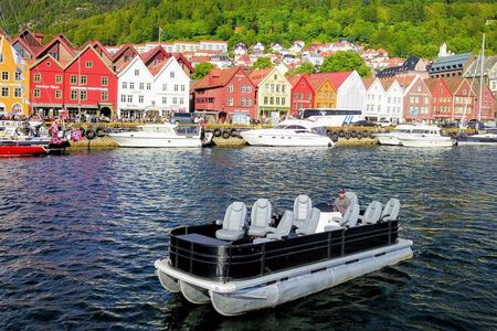 City or Fjordcruise by Zodiac Speedboat or Lux Pontoon Boat