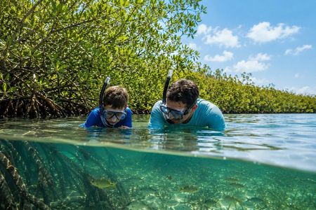 Florida Keys: Snorkeling and Sandbar