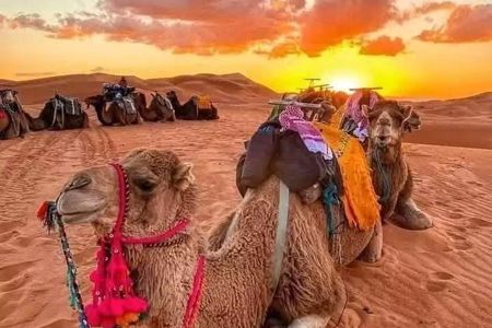 Marrakech: 3-Day Merzouga Sahara Adventure & Desert Camp